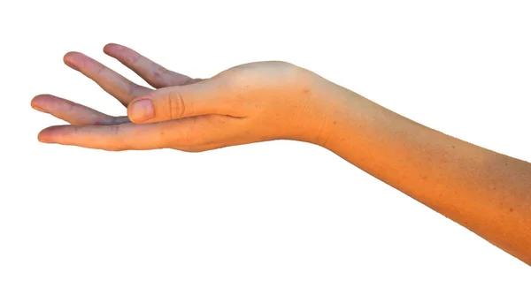 Жіночі Руки Білому Тлі — стокове фото