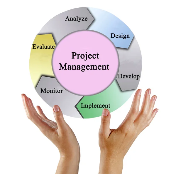 Präsentation Des Projektmanagementprozesses — Stockfoto