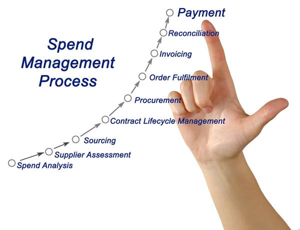 Presenting Spend Management Process — Stock Photo, Image