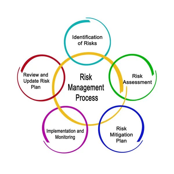 Composantes Processus Gestion Des Risques — Photo