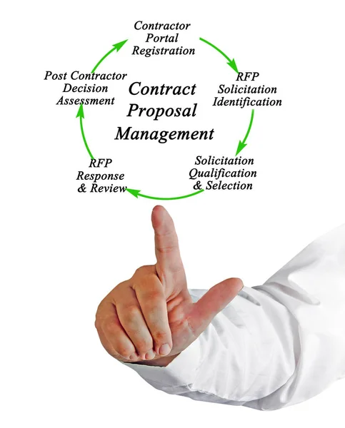 Elementy Procesu Zarządzania Propozycję Kontraktu — Zdjęcie stockowe