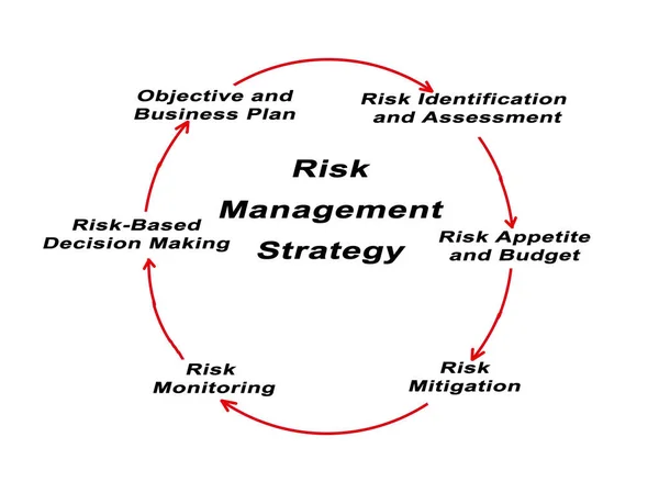 Komponenter Strategi För Riskhantering — Stockfoto