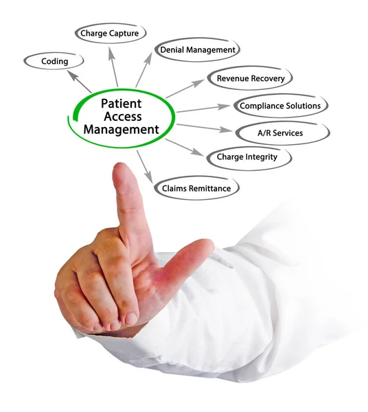 Components Patient Access Management — Stock Photo, Image