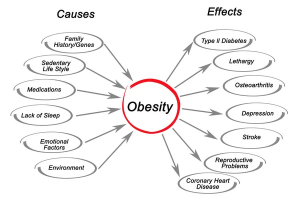 Obesity: Causes and Effects