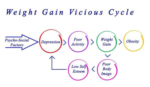Weight Gain Vicious Cycle — Stock Photo, Image