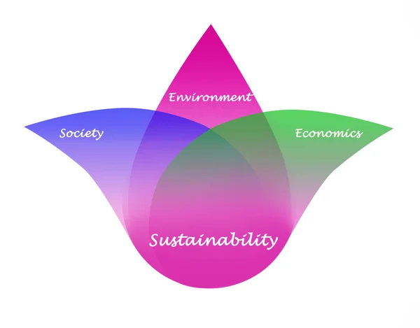 Apresentação Diagrama Sustentabilidade — Fotografia de Stock
