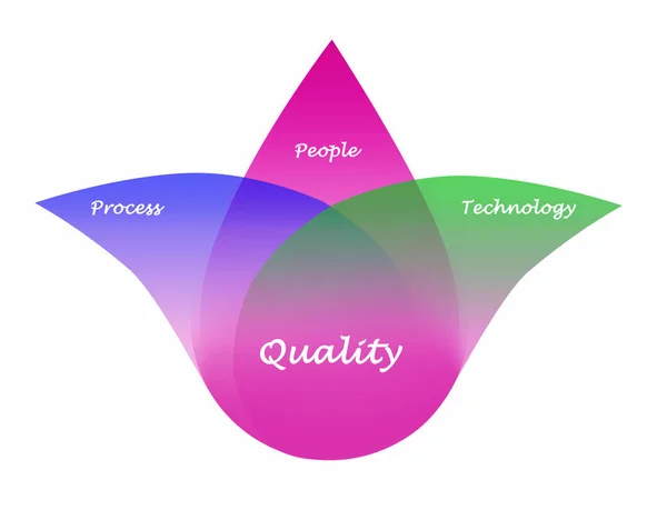 Presentación Diagrama Calidad — Foto de Stock