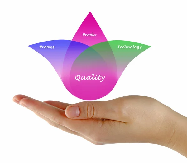 Presenting Diagram Quality — Stock Photo, Image