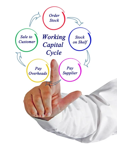 Onderdelen Van Bedrijfskapitaal Cyclus — Stockfoto