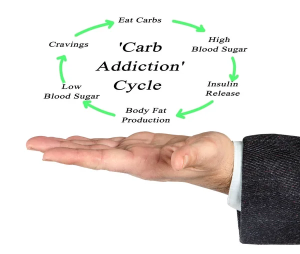 Componentes Del Ciclo Adicción Los Carbohidratos — Foto de Stock