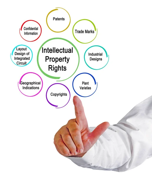 Types Intellectual Property — Stock Photo, Image