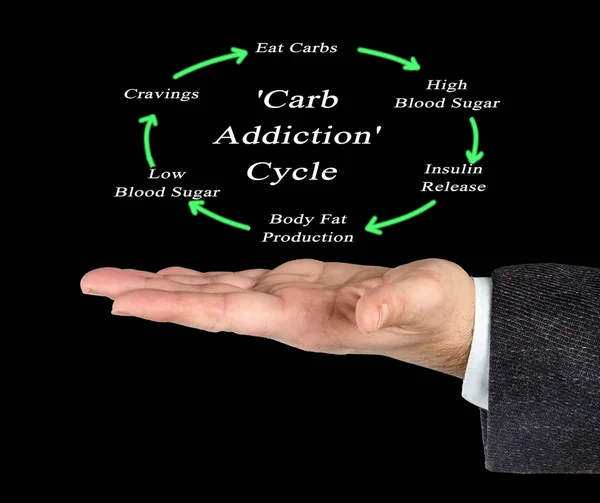 Komponenten Des Zyklus Der Kohlenhydratabhängigkeit — Stockfoto