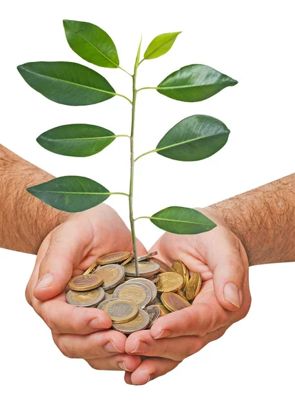 Investing Green Business — Stock Photo, Image