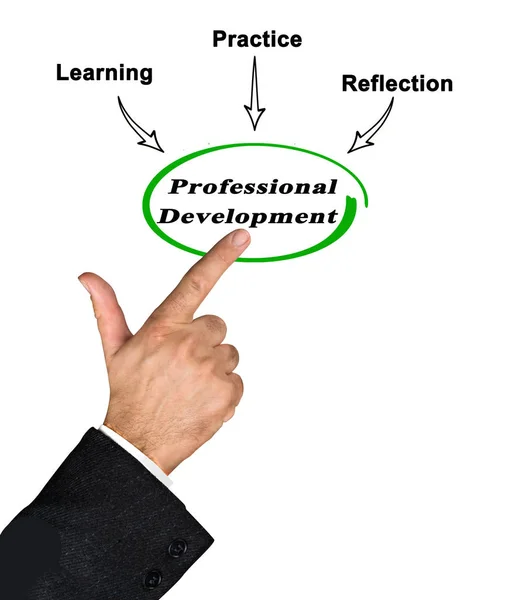 Man Presenting Professional Development — Stock Photo, Image