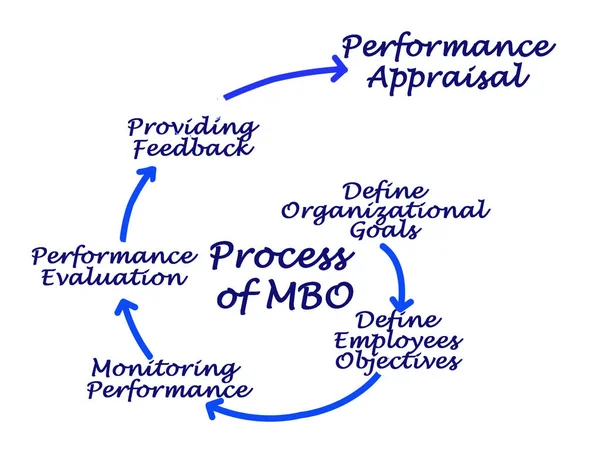 Componentes Del Proceso Mbo — Foto de Stock