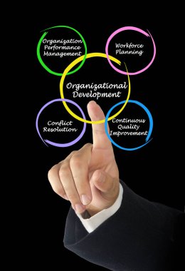  Organizasyonel gelişim bileşenleri