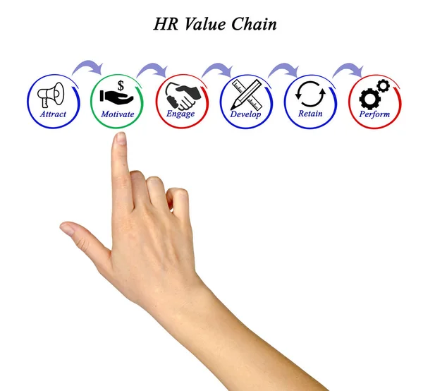 Components of HR Value Chain