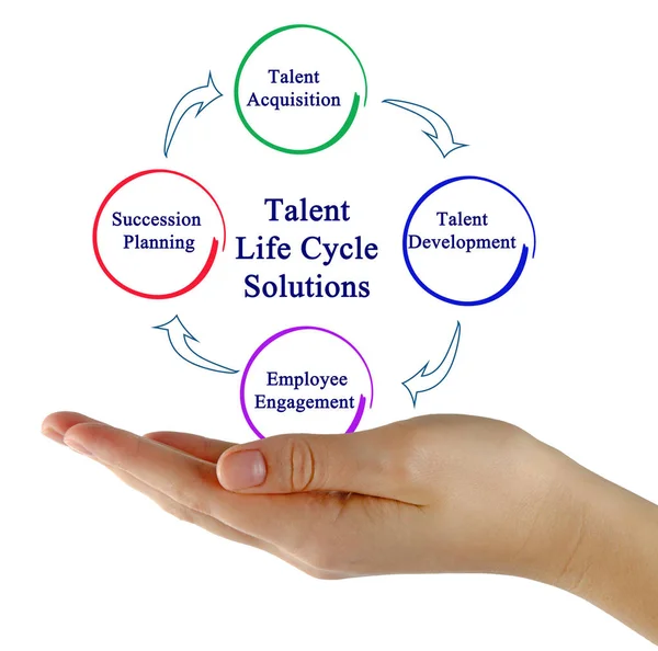 Apresentando Talent Life Cycle Solutions — Fotografia de Stock