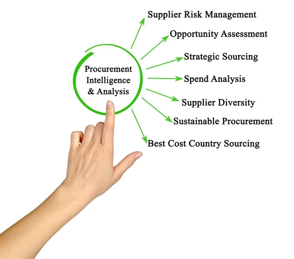 Presenting Procurement Intelligence Analysis — Stock Photo, Image