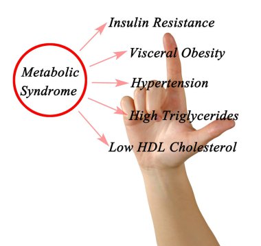  Metabolik Sendromu belirtileri