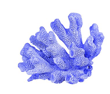 beyaz arkaplanda izole mercan