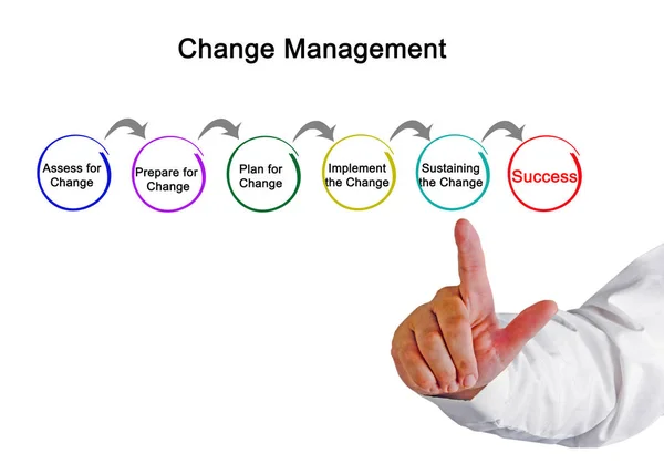 Diagram Change Management — Stock Photo, Image