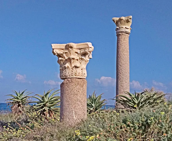 Columnas Antiguas Cesarea —  Fotos de Stock