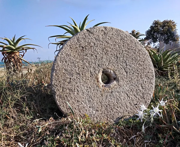 Kamień Oliwek Prasy Bliska — Zdjęcie stockowe