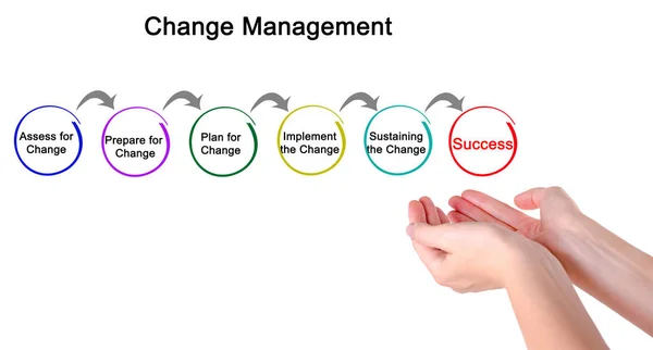 Diagram Change Management — Stock Photo, Image