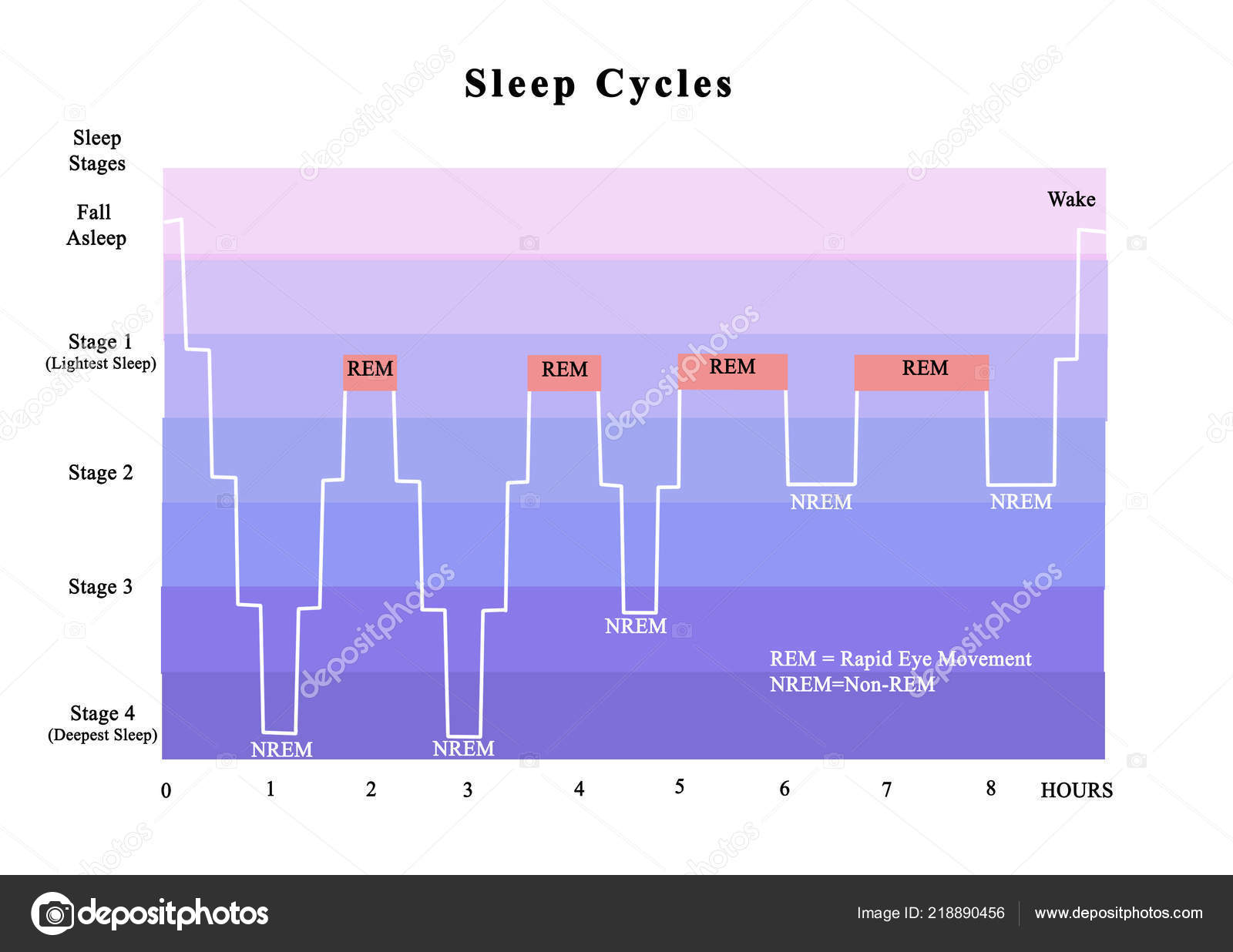 Приложение фазы сна. Non-rem фаза. Sleep cycle приложение. Sleep cycle alarm clock. Sleeping cycle.