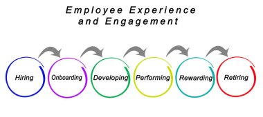 Çalışan deneyim ve nişan