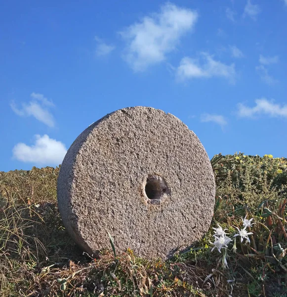 Kamień Oliwek Prasy Bliska — Zdjęcie stockowe