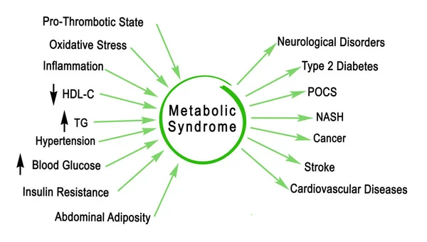 Příčiny Sekvence Metabolického Syndromu — Stock fotografie