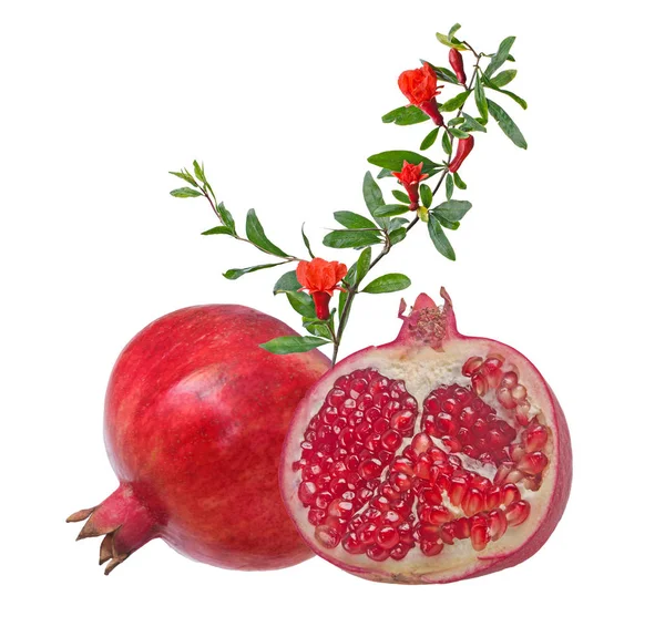 Granatapfelfrucht Und Blüte Isoliert Auf Weißem Hintergrund — Stockfoto