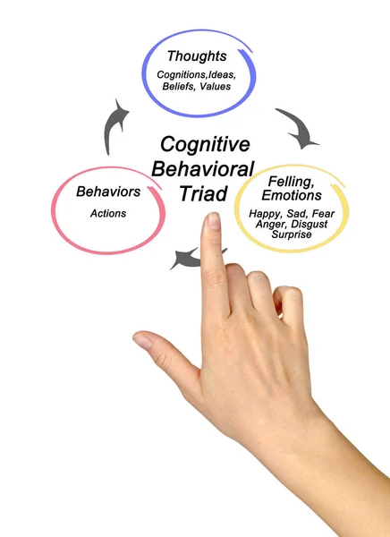 Prezentarea Triadei Comportamentale Cognitive — Fotografie, imagine de stoc