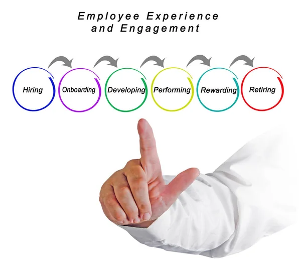 Employee Experience and Engagement