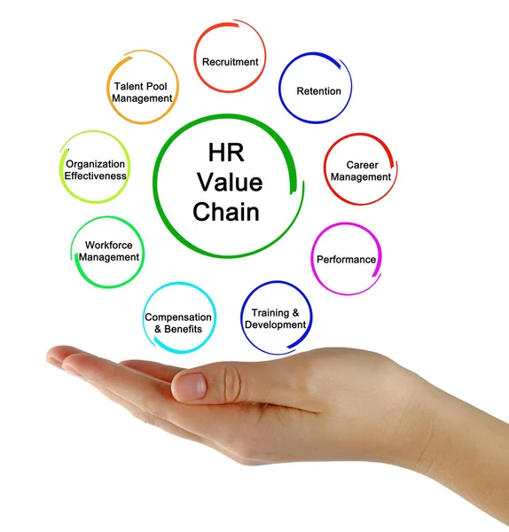 HR Analytic Value Chain