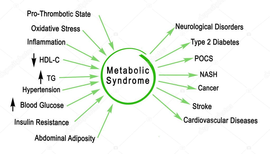 Causes and sequences of Metabolic Syndrome