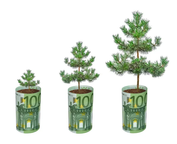 Euro Faturası Büyüyen Ağaç — Stok fotoğraf