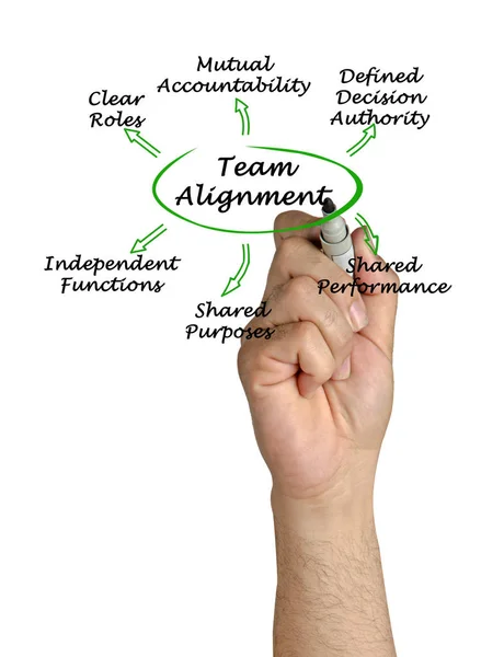 Characteristics Team Alignment — Stock Photo, Image