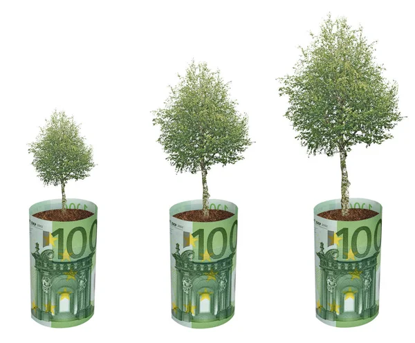 Tree Growing Euro Banknots — Stock Photo, Image