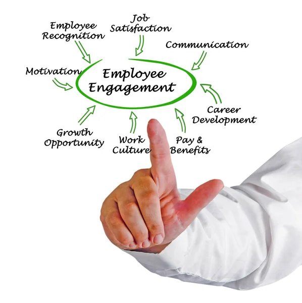 Drivers Employee Engagement — Stock Photo, Image