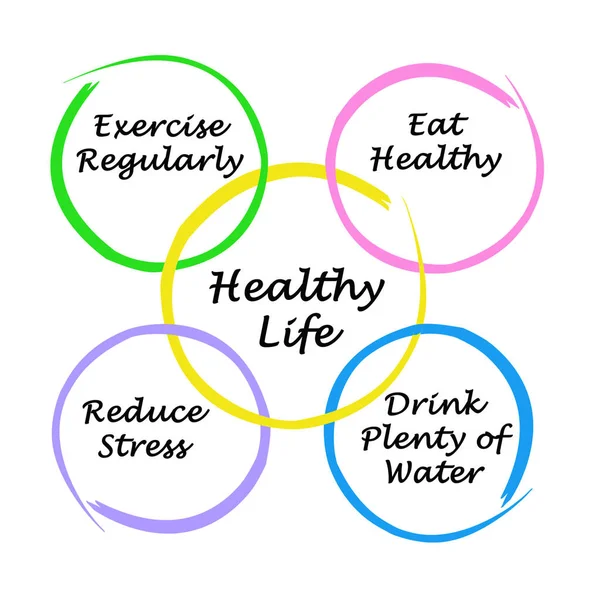 Diagrama Vida Sana — Foto de Stock