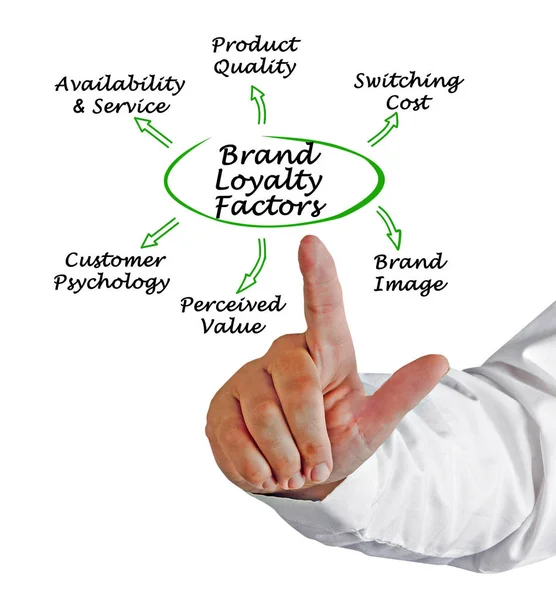 Presenting Brand Loyalty Factors — Stock Photo, Image