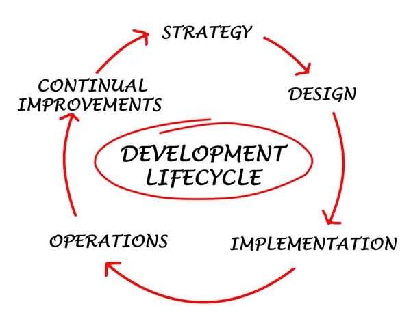Onderdelen Van Levenscyclus Van Development — Stockfoto