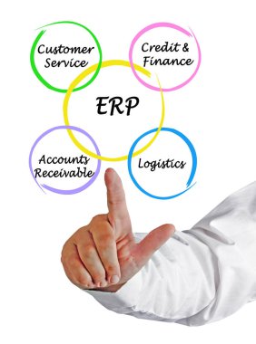 Four Components of ERP clipart