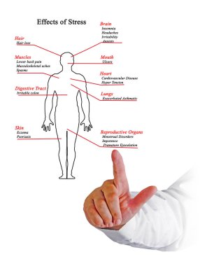 Stres etkileri sunulması