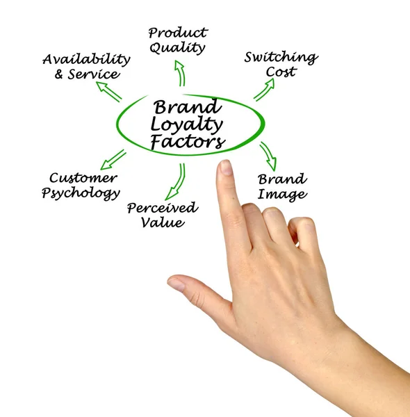 Six Brand Loyalty Factors — Stock Photo, Image