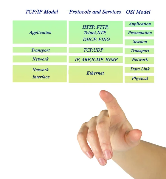 Osi Tcp Protocols — Stock Photo, Image