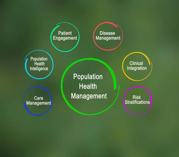 人口健康管理の構成要素 — ストック写真